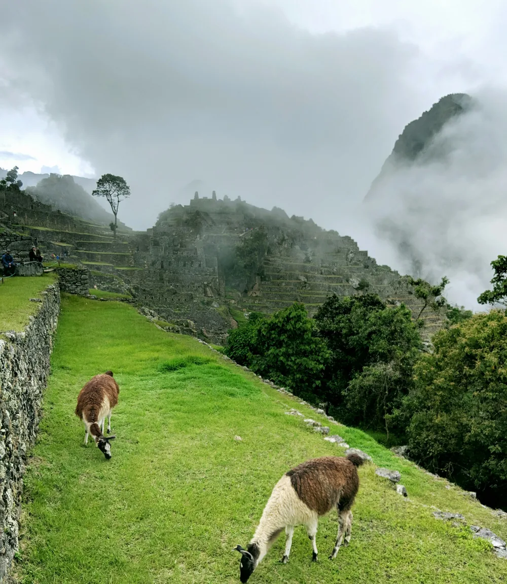A steep trail climbing through the high Andes toward Humantay